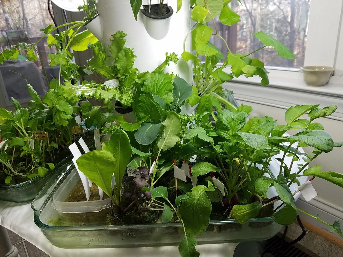 All-in-One Tower Garden Variety Pack