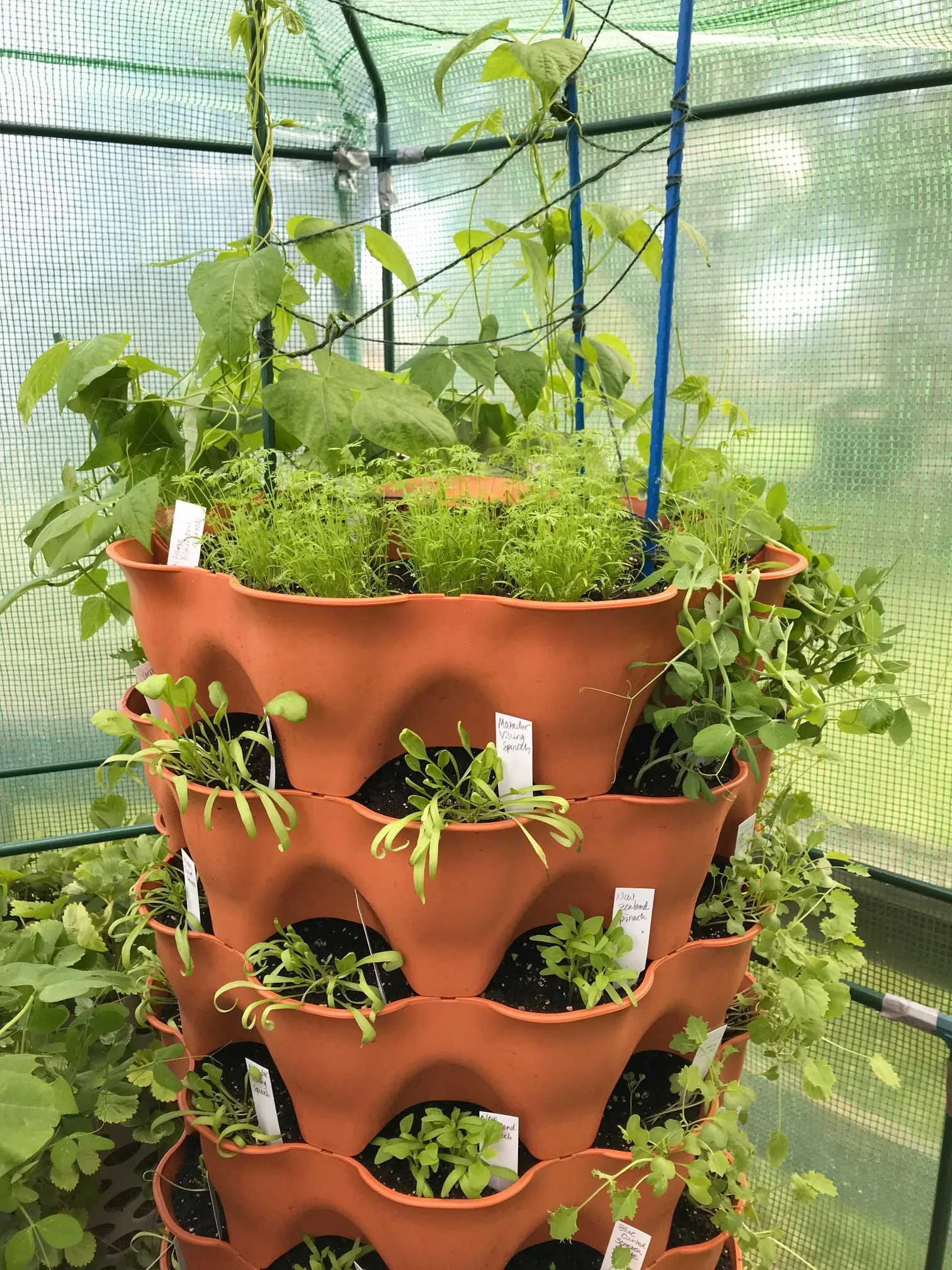 All-in-One Tower Garden Variety Pack