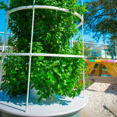 All-in-One Tower Garden Variety Pack