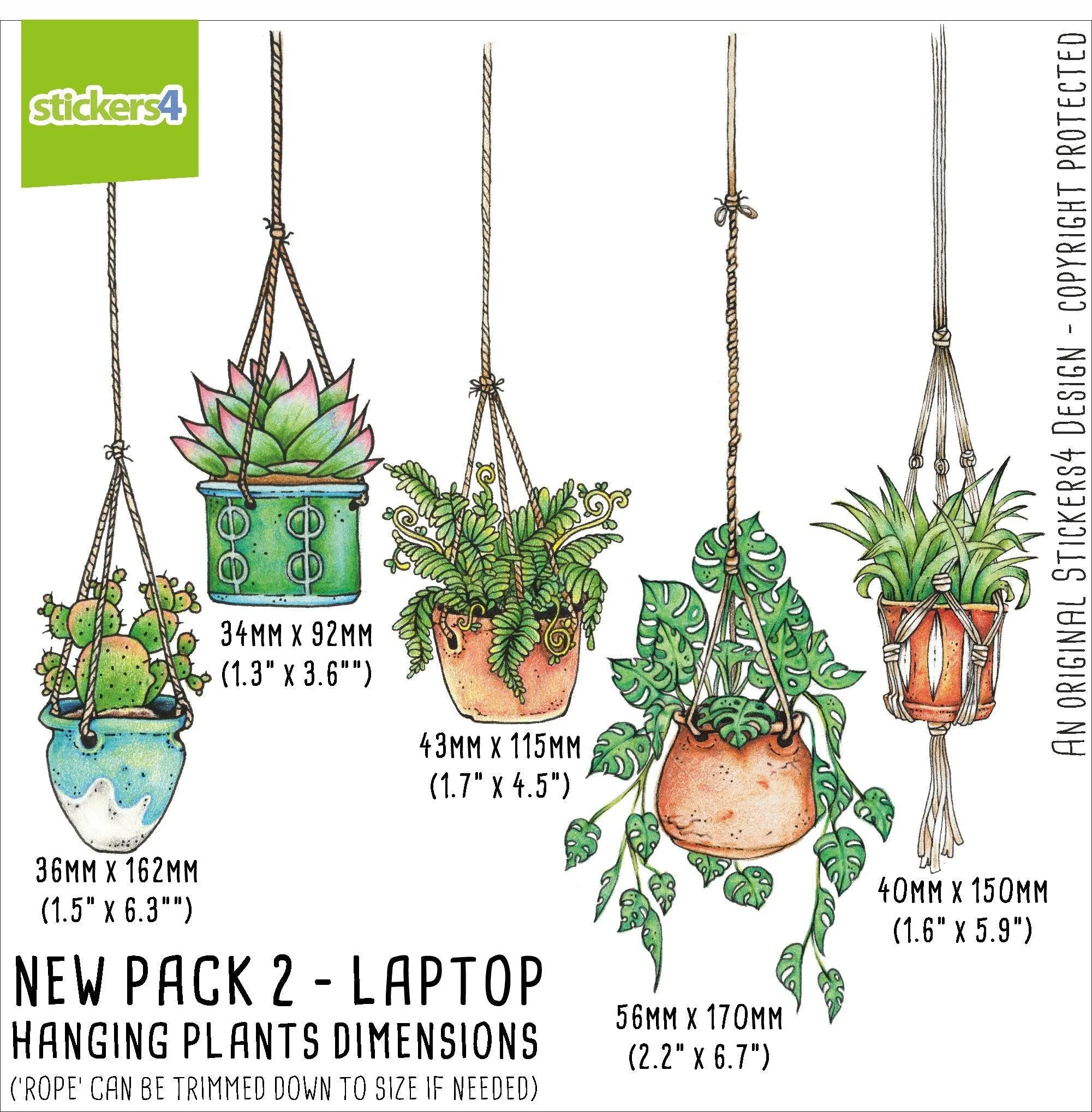 NEW VERSION Set of 5 Illustrated Hanging Plant Laptop Stickers