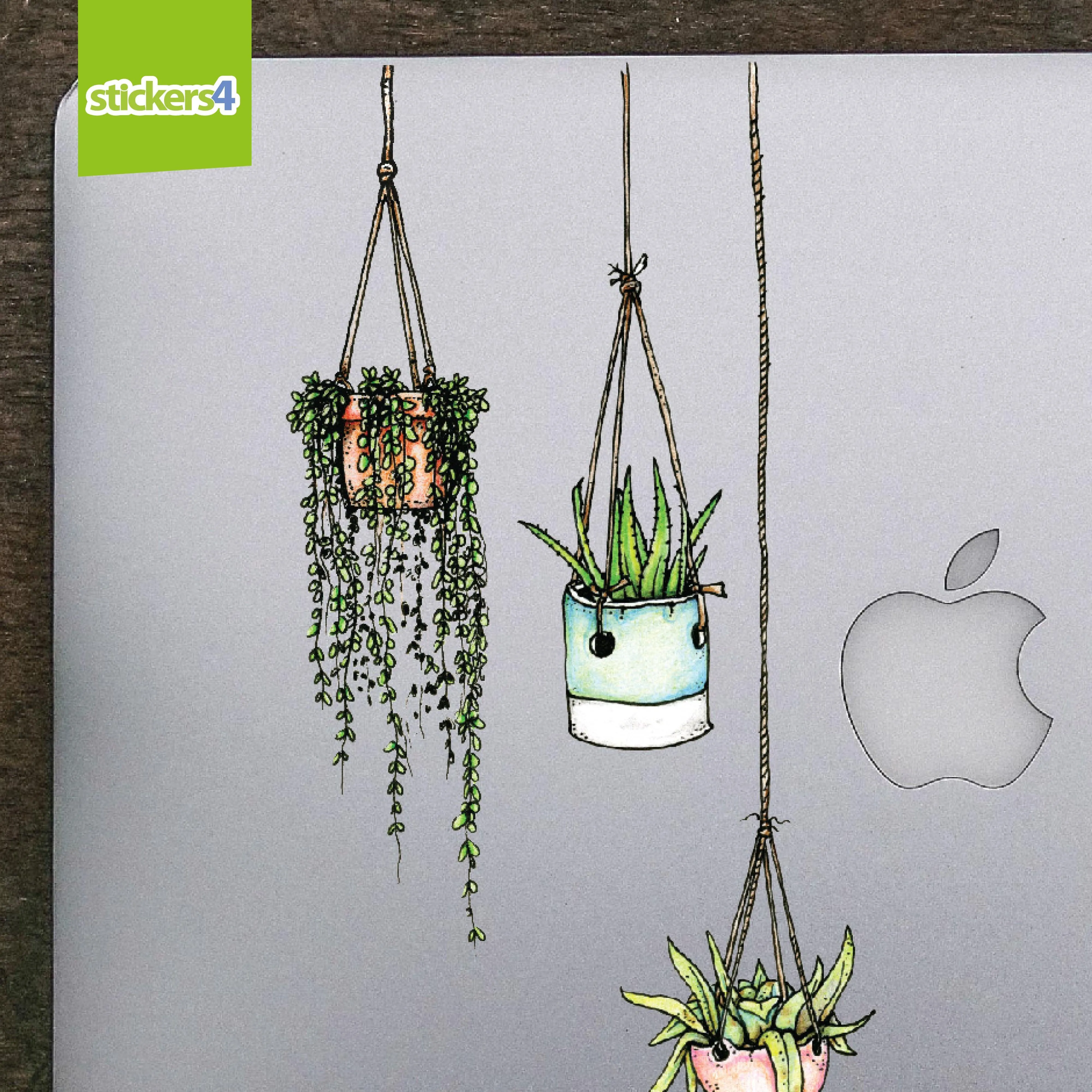 Set of 5 Illustrated Hanging Plant Laptop Stickers