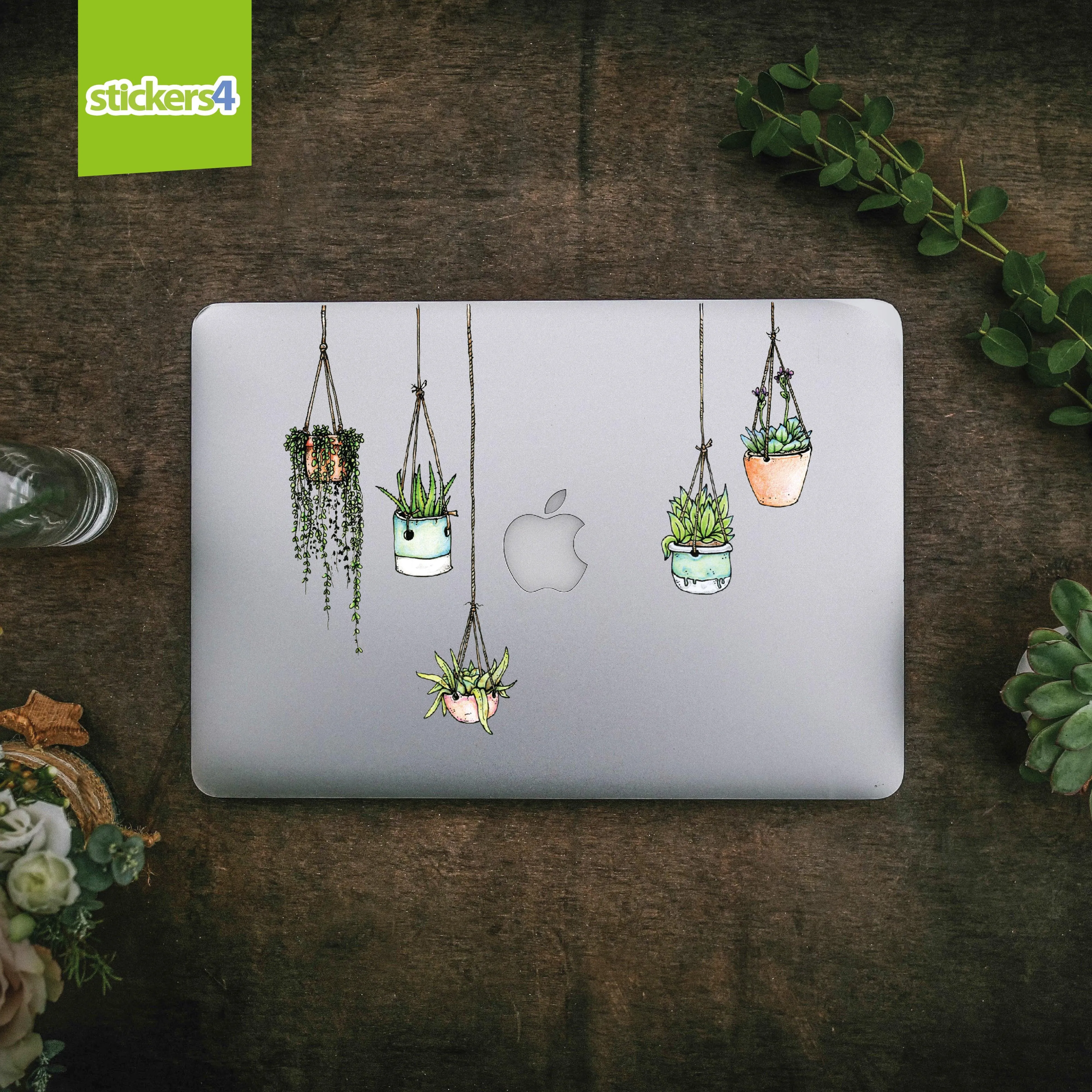 Set of 5 Illustrated Hanging Plant Laptop Stickers